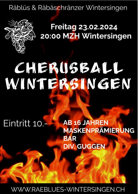 Cherusball Wintersingä (1/1)